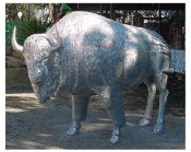 buffalo statue