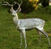 deer statue