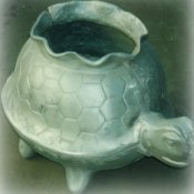 turtle animal urn